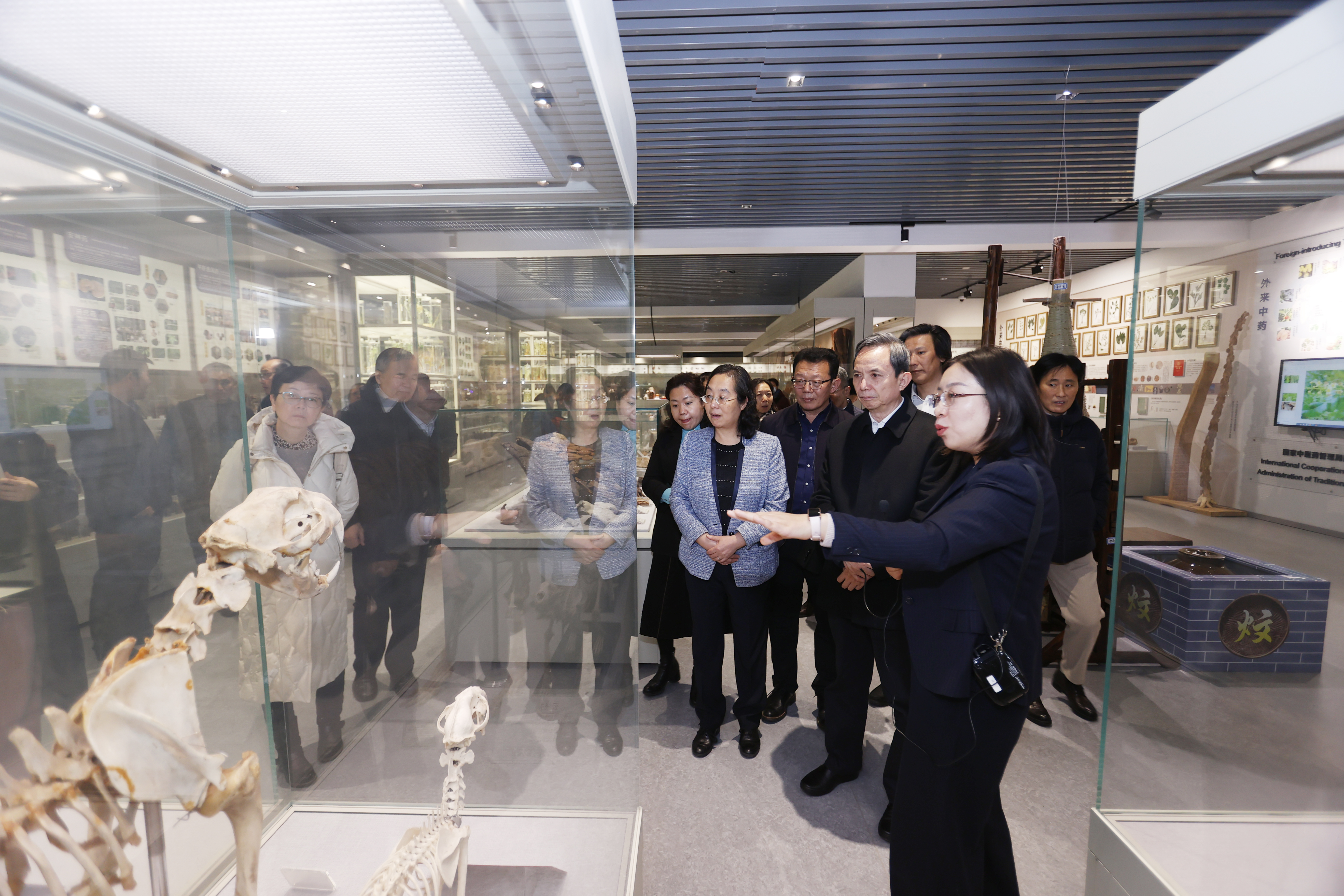 参观博物馆 (1).jpg